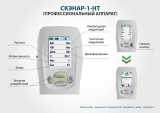СКЭНАР-1-НТ (исполнение 01)  в Канске купить Нейродэнс ПКМ официальный сайт - denasdevice.ru 